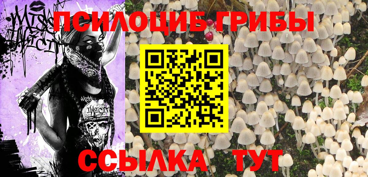 Псилоцибиновые грибы прущие грибы Красный Сулин